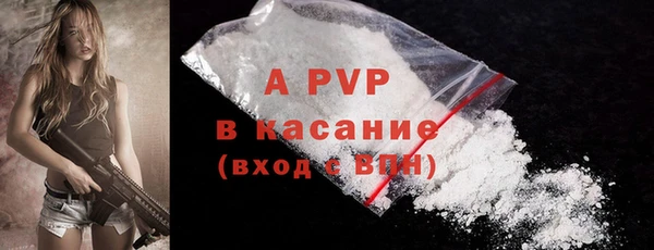 амф Алексин