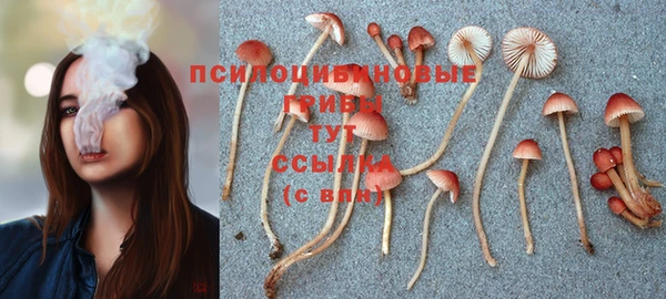 герыч Алзамай