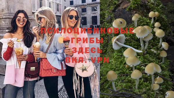кокаин Алексеевка