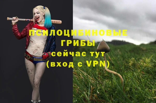 Альфа ПВП Киренск