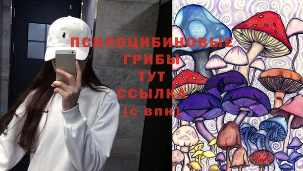 амф Алексин