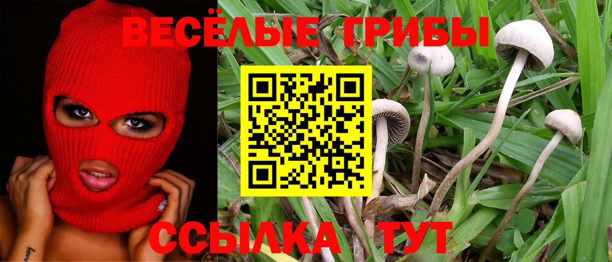 Осинники  Псилоцибиновые грибы ЛСД  Вход с VPN  Псилоцибиновые грибы MAGIC MUSHROOMS 