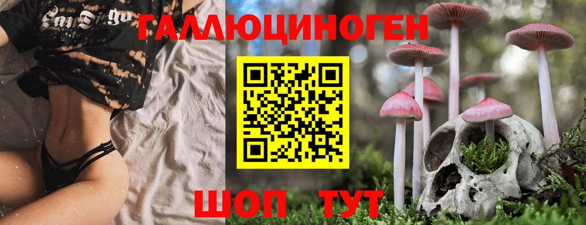 Псилоцибиновые грибы прущие грибы Осинники